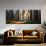 Redwood Tree Tranquil 77