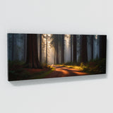Redwood Tree Twilight 68