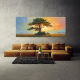Cypress Tree Sunlit Cypress 58