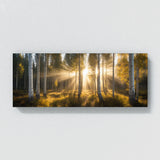 Aspen Tree Aspen Sunrise Beams 71