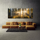 Aspen Tree Aspen Sunrise Beams 71