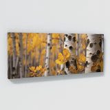 Aspen Tree Bark 78