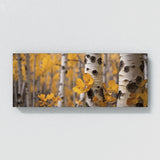 Aspen Tree Bark 78