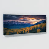 Aspen Tree Evening Aspen Glow 67