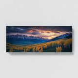 Aspen Tree Evening Aspen Glow 67