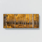 Aspen Tree Golden Aspen Dream 64