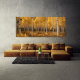 Aspen Tree Golden Aspen Dream 64