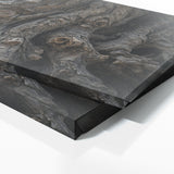 Olive Tree Bark Vignette 66