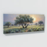Olive Tree Ethereal Dawn Grove 57