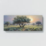 Olive Tree Ethereal Dawn Grove 57