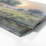 Olive Tree Ethereal Dawn Grove 57