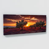 Olive Tree Fiery 69