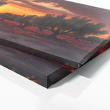 Olive Tree Fiery 69