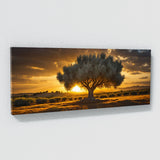 Olive Tree Golden Olive Radiance 62