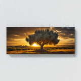 Olive Tree Golden Olive Radiance 62