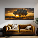 Olive Tree Golden Olive Radiance 62