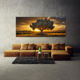 Olive Tree Golden Olive Radiance 62