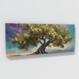Olive Tree Olive Bloom Burst 41