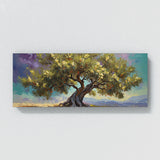 Olive Tree Olive Bloom Burst 41