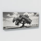Olive Tree Olive Elegance 87