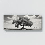 Olive Tree Olive Elegance 87