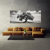 Olive Tree Olive Elegance 87