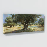 Olive Tree Olive Grove Serenity 8