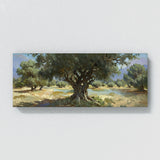 Olive Tree Olive Grove Serenity 8