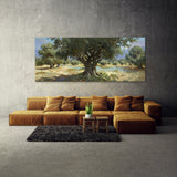 Olive Tree Olive Grove Serenity 8