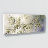 Olive Tree Olive Serenity 24