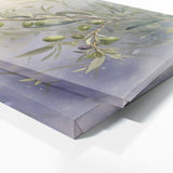 Olive Tree Olive Serenity 24