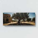 Olive Tree Olive Shadows 76