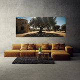 Olive Tree Olive Shadows 76