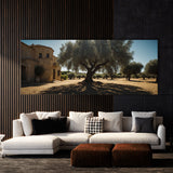 Olive Tree Olive Shadows 76