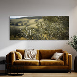 Olive Tree Windblown Grace 74