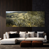 Olive Tree Windblown Grace 74