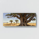 Baobab Tree Baobab Grandeur 10