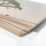 Baobab Tree Essential 90