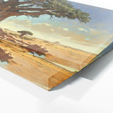 Baobab Tree Eternal Baobab 14