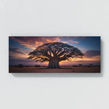 Baobab Tree Evening Serenity 79