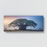 Baobab Tree Misty Baobab Dawn 68