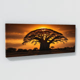 Baobab Tree Sunset 64