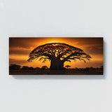 Baobab Tree Sunset 64