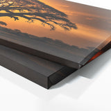 Baobab Tree Sunset 64