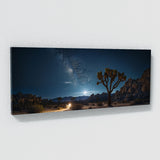 Joshua Tree Celestial 67