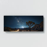 Joshua Tree Celestial 67