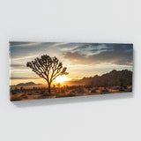 Joshua Tree Desert Dawn Radiance 80