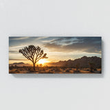 Joshua Tree Desert Dawn Radiance 80