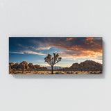 Joshua Tree Desert Majesty 81
