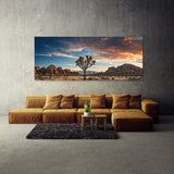 Joshua Tree Desert Majesty 81